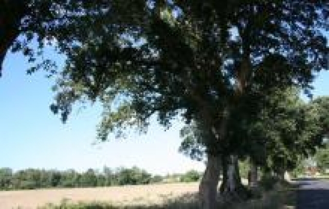 Terrain constructible et viabilisé à Léon de 619m² acheter vendre