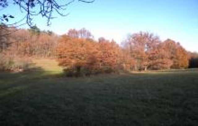 Terrain de 12 hectares non constructible acheter vendre