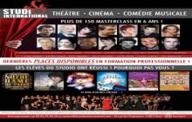 Formation Professionnelle aux Arts de la Scène : Comédie Musicale et Théâtre acheter vendre