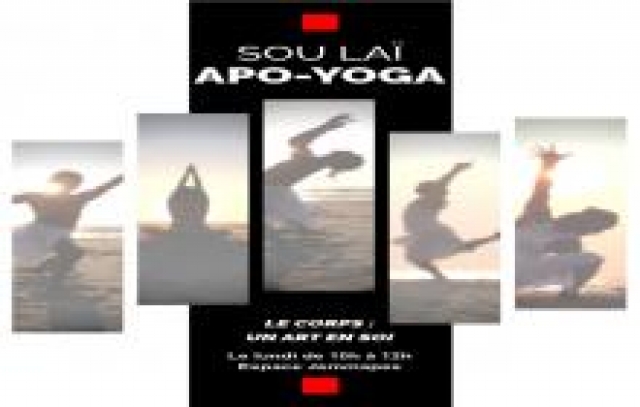 Cours de Yoga : APO YOGA : L’art du corps au service du Bien-être acheter vendre